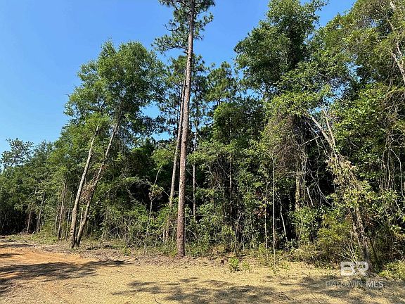 3rd image of 0 Sedlack Rd #21