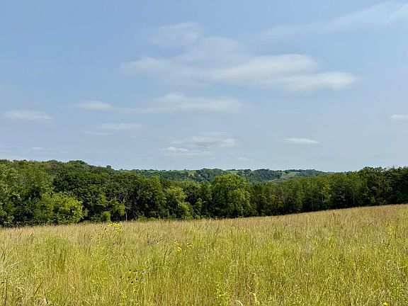 4th image of 15 Welch Short Cut