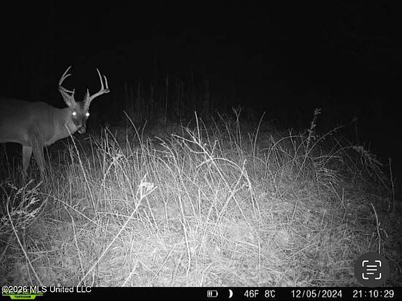 4th image of 6 Forest Service Rd #562