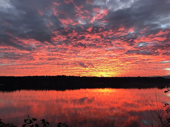 Another burst of color