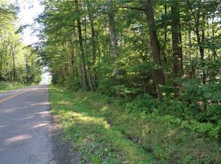 LOT 8 German Rd LOT 8, Willet, NY 13863