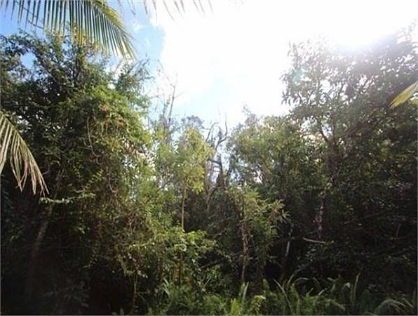 2nd image of 14-4772 Sadileck Rd