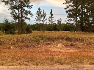 SE 115th Place Rd LOT 11, Ocklawaha, FL 32179