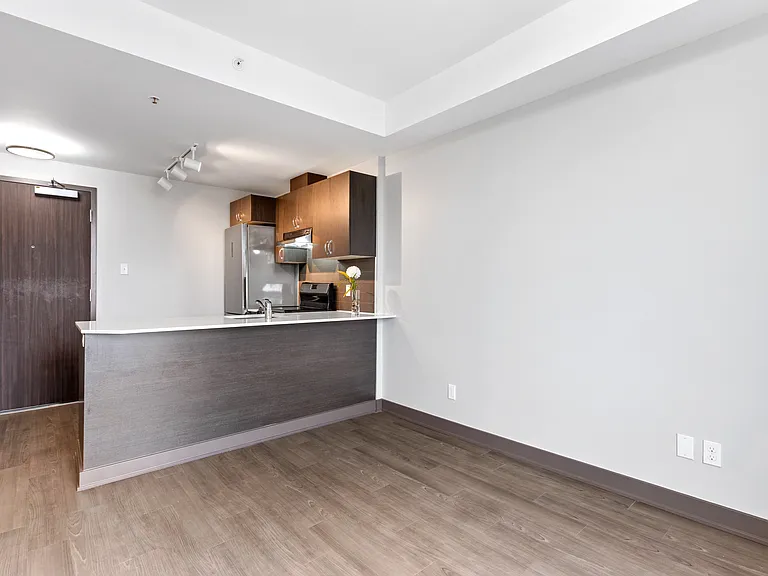 169 Lisgar St — Photo 53