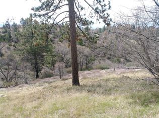 30545 Live Oak Dr, Running Springs, CA 92382