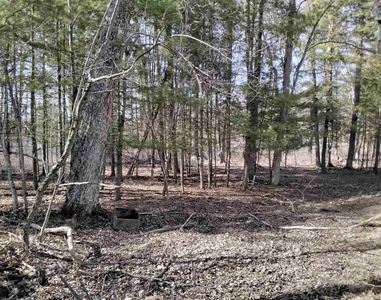 W1080 Dover Rd, Neshkoro, WI, 54960