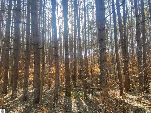 Deer Run Dr, Cadillac, MI 49601