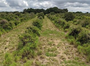 820 Maude Rd, Wauchula, FL 33873