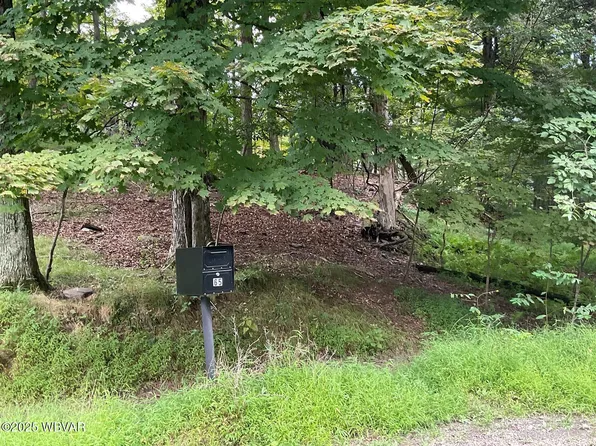65 Lakeside Dr, Muncy Valley, PA 17758