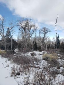 239 Mill Run, Hooper, CO, 81136