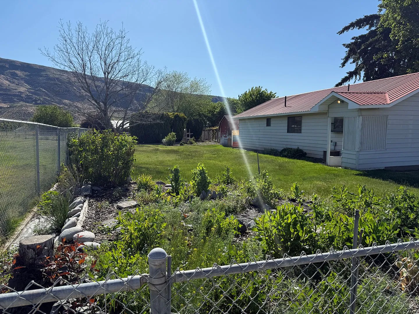 Adorable 1970's Farmhouse - 3 bed 1 bath — Photo 4