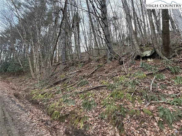 TBD Pritchard Road, West Jefferson, NC 28694