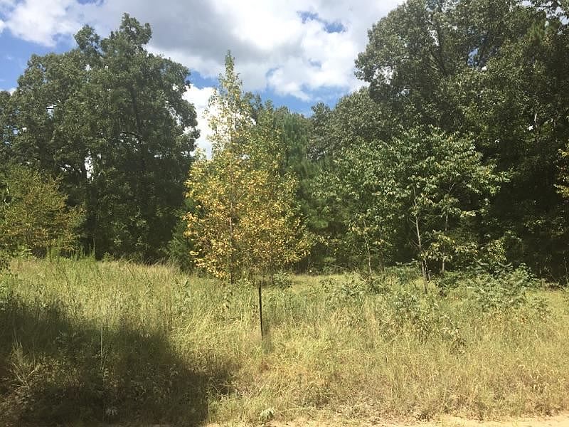 1st image of 100 Hickory Wood Dr