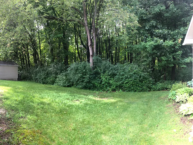 404 Crimsom King Cir #404 — Photo 5