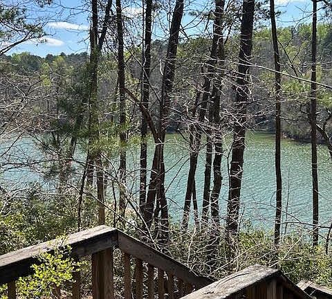 2nd image of LOT 25 Hidden Falls Way