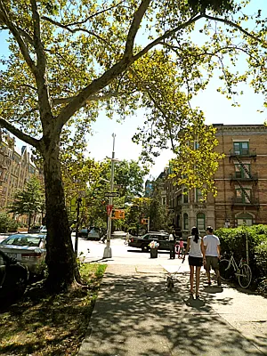 Rented by NY Casa Group | media 22