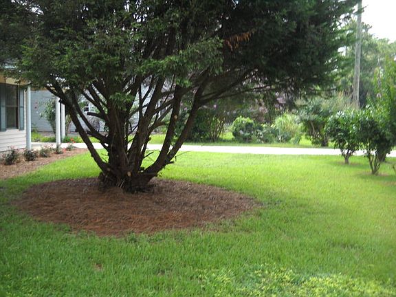 4th image of 3 Parkwood Dr