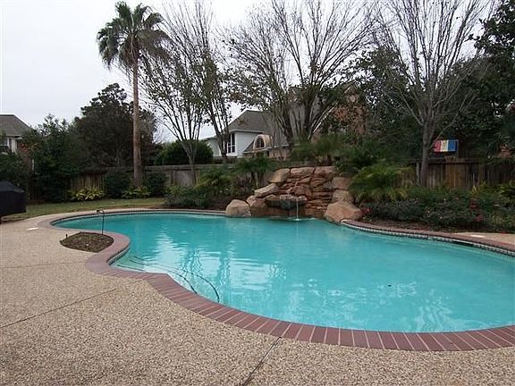 Tropical backyard