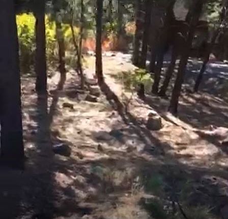 2nd image of 48 Masters Circle