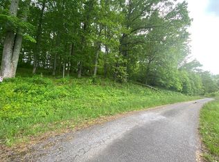 1405 Holly Point Dr, Hiawassee, GA 30546