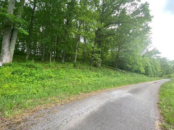 1405 Holly Point Dr, Hiawassee, GA 30546
