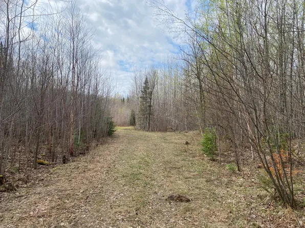 Near Wilson Lake Rd, Phillips, WI 54555