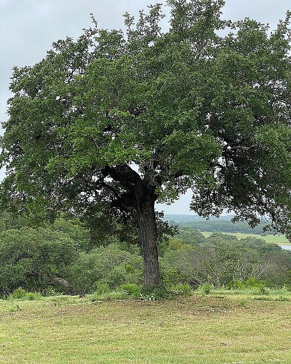 2nd image of LOT-57A Wesley Ridge Dr