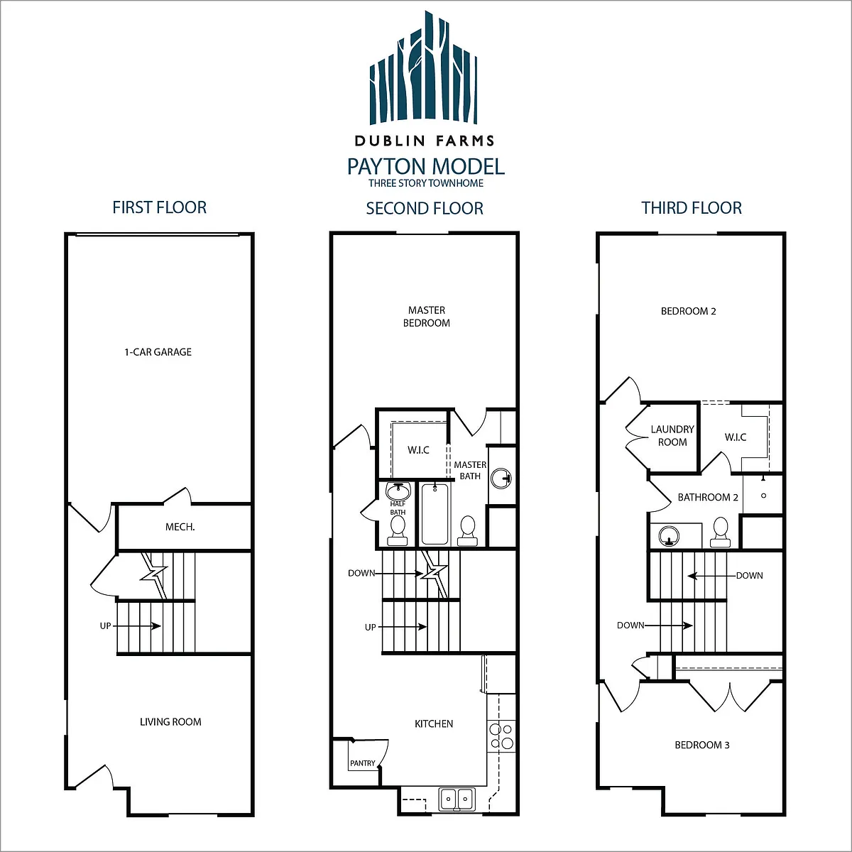 Floor plan 3-Story Payton