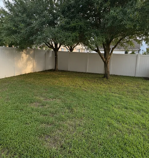 Fenced Backyard