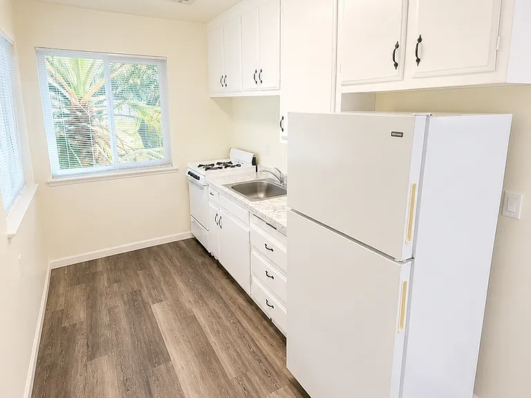 1165 Magnolia Ave — Photo 5