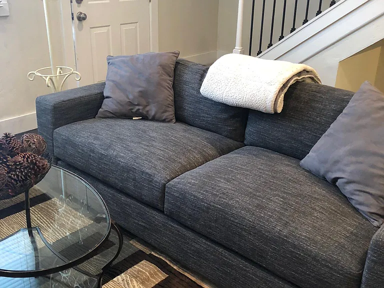 Living room with new West Elm couch