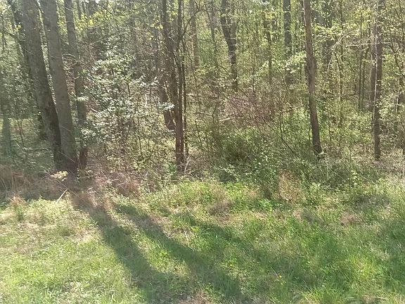 4th image of Mountain Rd