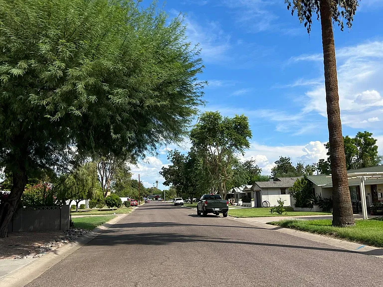 View of our long, shady street facing east