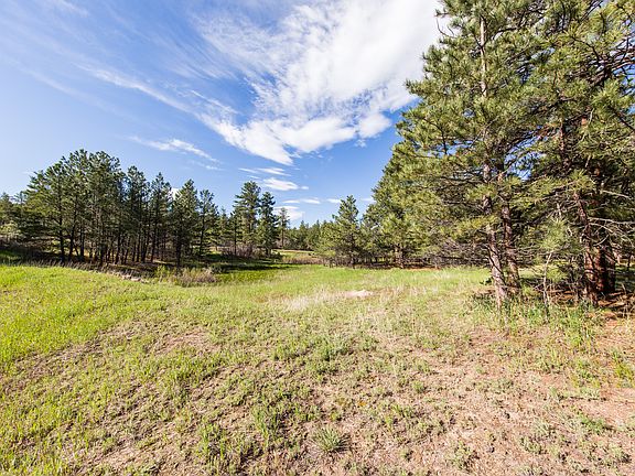 2nd image of 1925 Tenderfoot Dr
