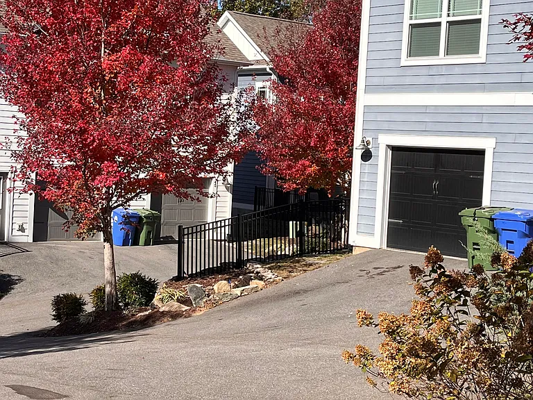 Plant Pl — Photo 24