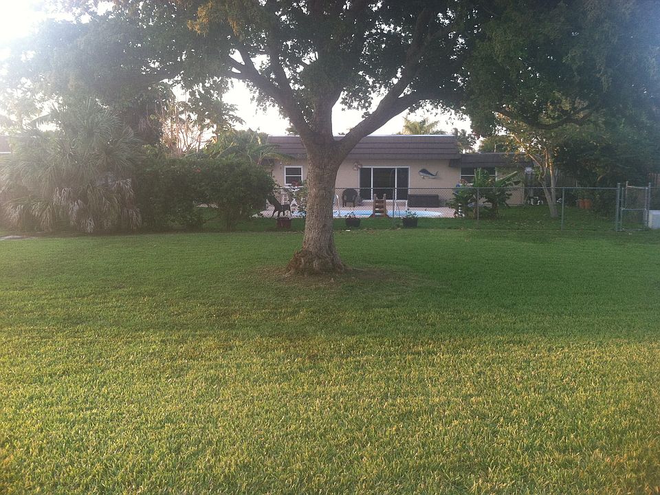House from park