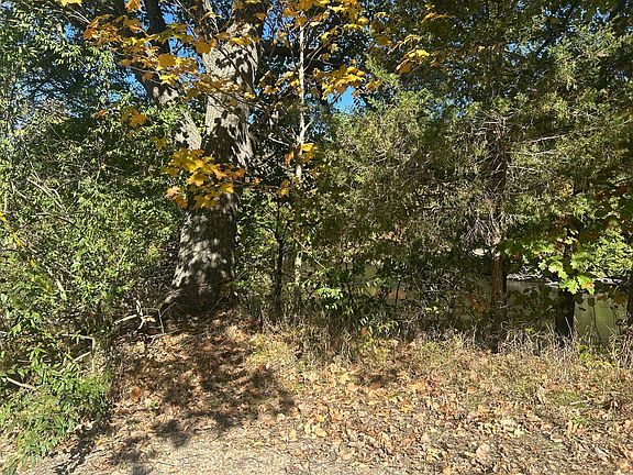 3rd image of 8027 Thornapple River Dr SE