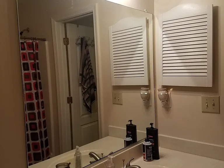 1001 Shoal Creek Trl — Photo 17