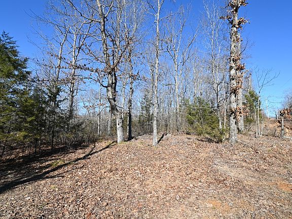 2nd image of 130 Wyatt Ln Lot 11