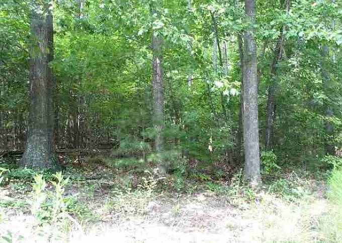 2nd image of 14 Moonshine Falls Trl