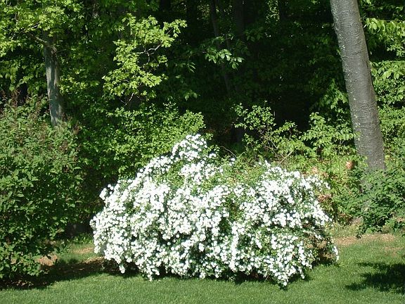 View from deck