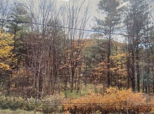 130 Fuller Rd, Norwich, NY 13815