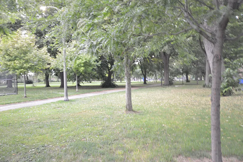 Thumbnail 20