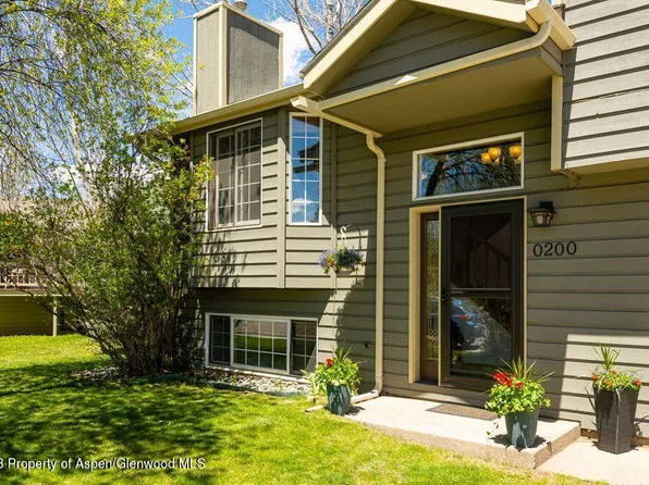 200 Badger Rd, El Jebel, CO 81623