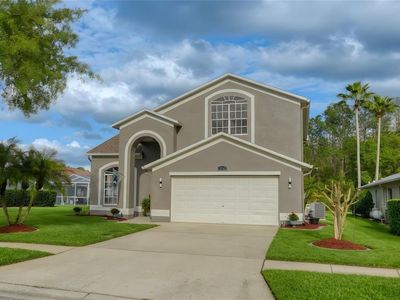 13106 Royal George Ave, Odessa, FL, 33556