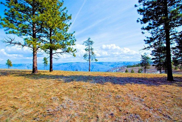 1st image of 1150 Blazing Star Ln #13