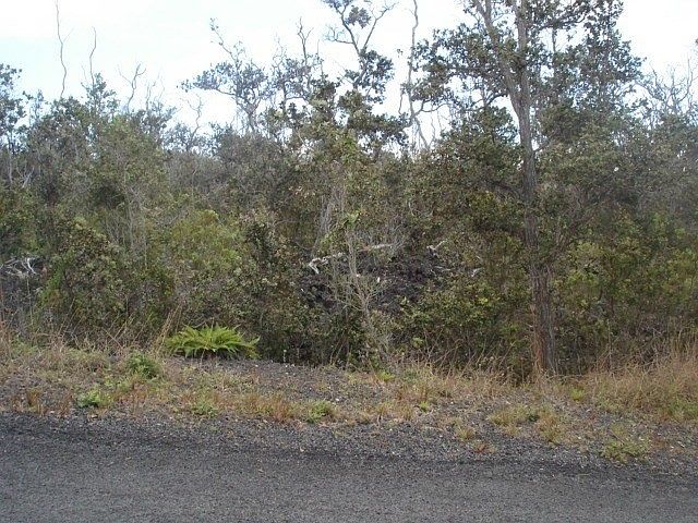 2nd image of Tiki Ln Lot 23