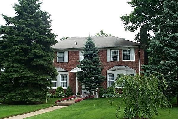 Front View