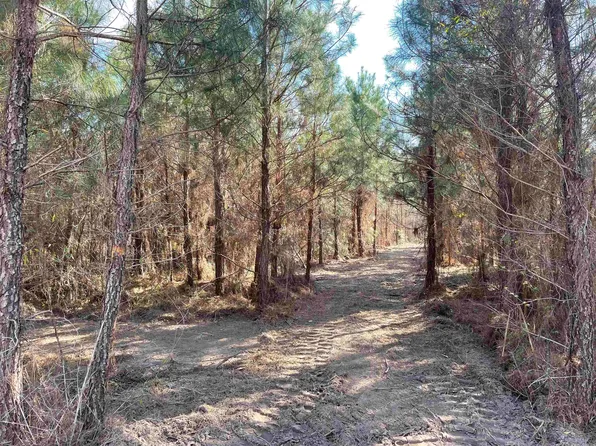 TBT Chair Rd., Hemingway, SC 29554