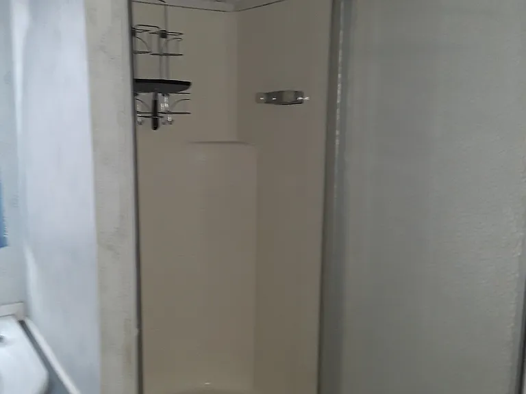 Master Bath Shower